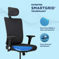 ERGOSMART PLUS OFFICE CHAIR (Onyx)